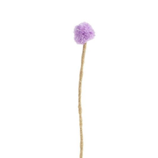 Craspedia Violet en laine