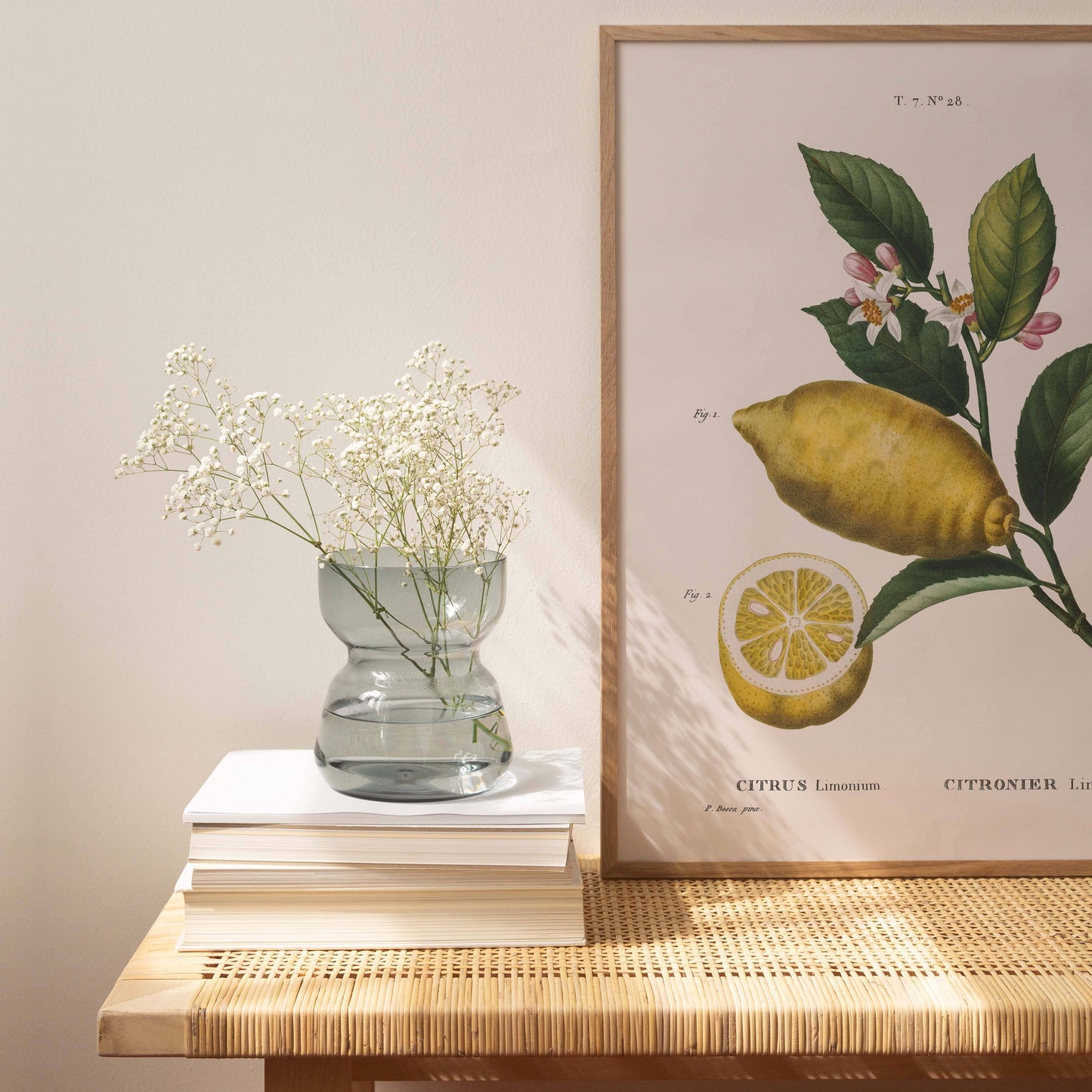 Affiche 21x30 - Citron