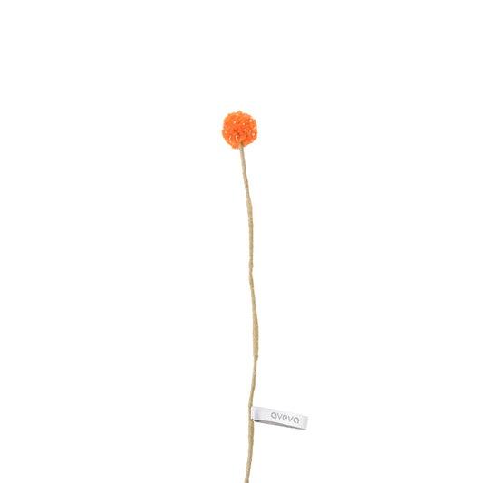 Craspedia Orange en laine