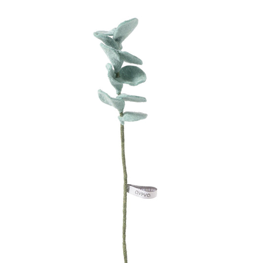 Eucalyptus Bleu en laine