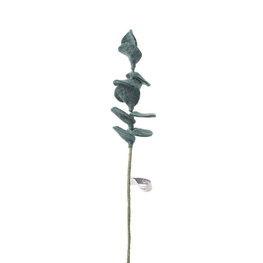 Eucalyptus Vert en laine