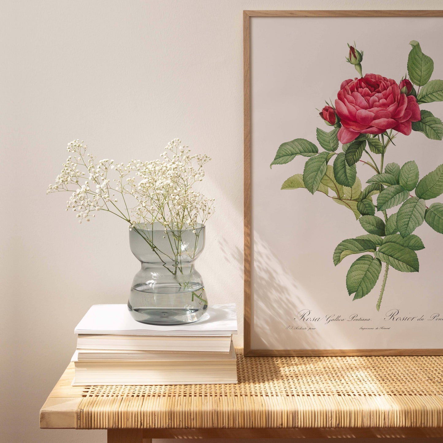 Affiche 21x30 - Rosier du Pont