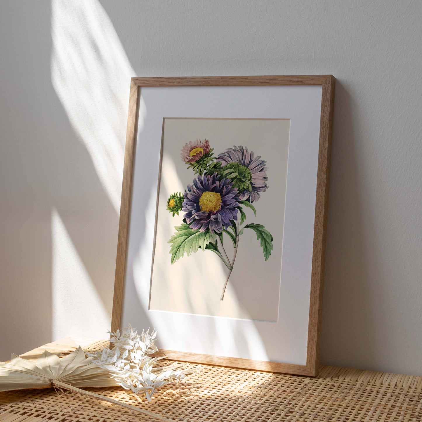 Affiche 21x30 - Aster de Chine