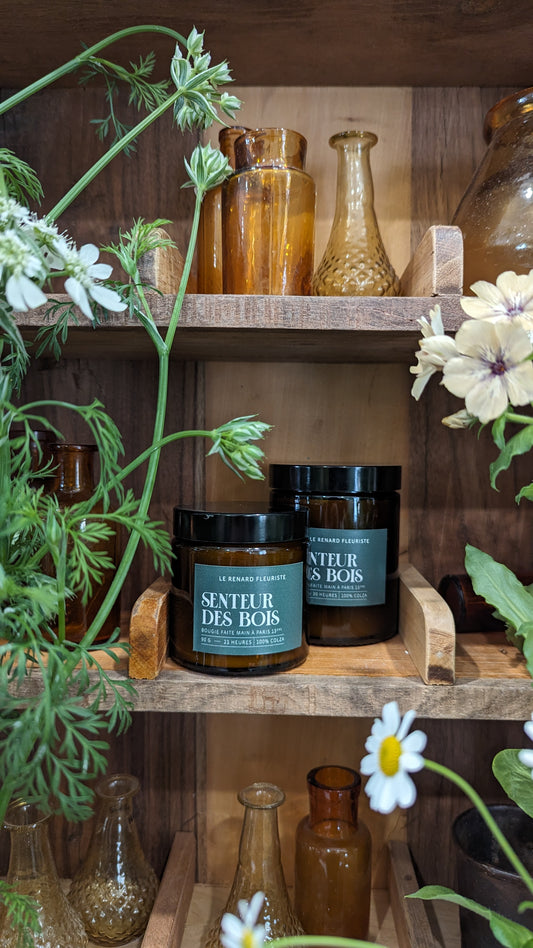 Bougie senteur des bois