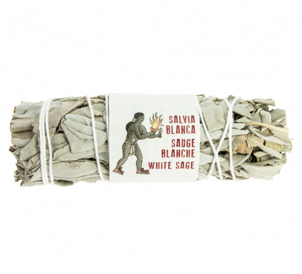 Bâton de Sauge Blanche
