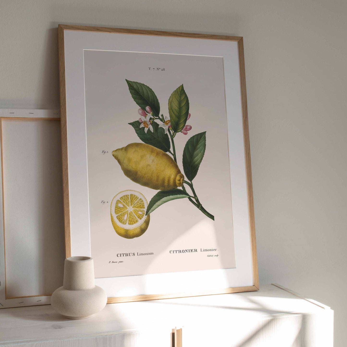 Affiche 21x30 - Citron