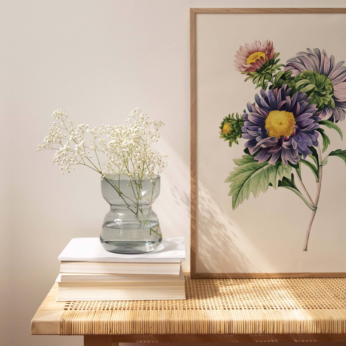 Affiche 21x30 - Aster de Chine
