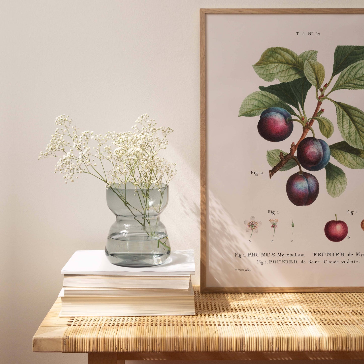 Affiche 21x30 - Prune Myrobalan