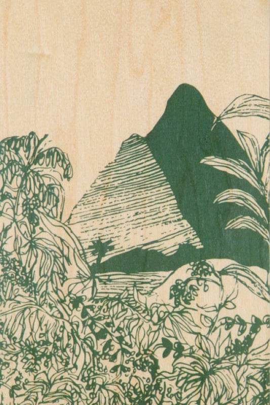 Carte postale bois Paysages Jungle