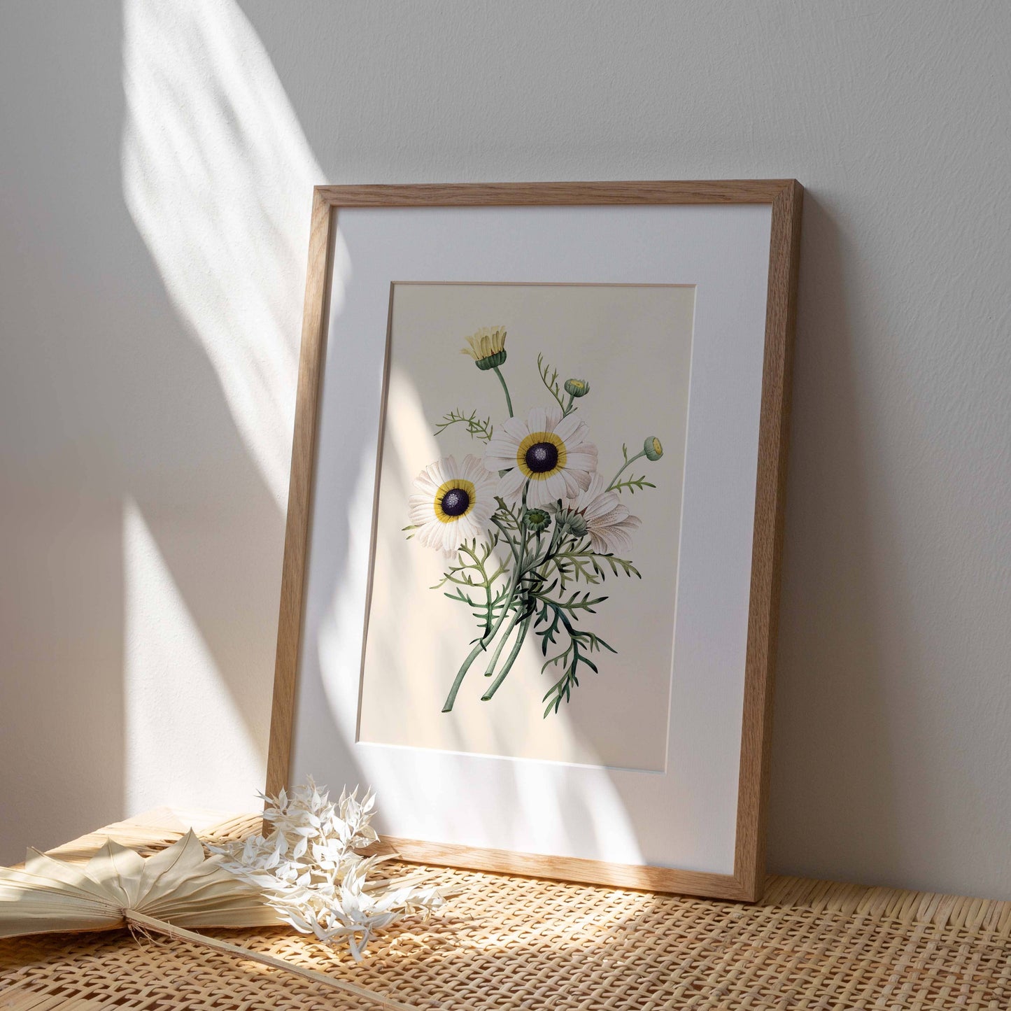 Affiche 21x30 - Chrysanthème