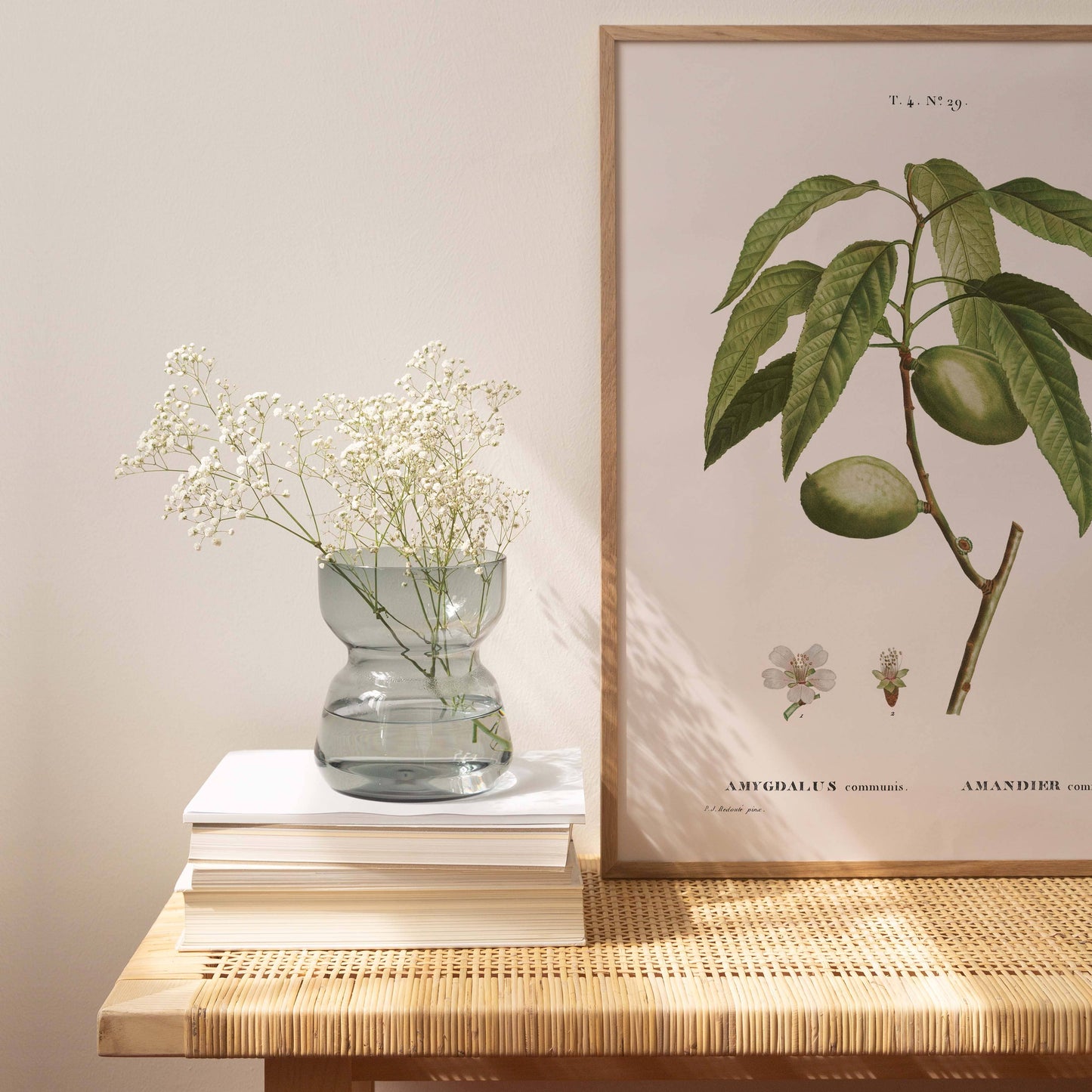 Affiche 21x30 - Amande