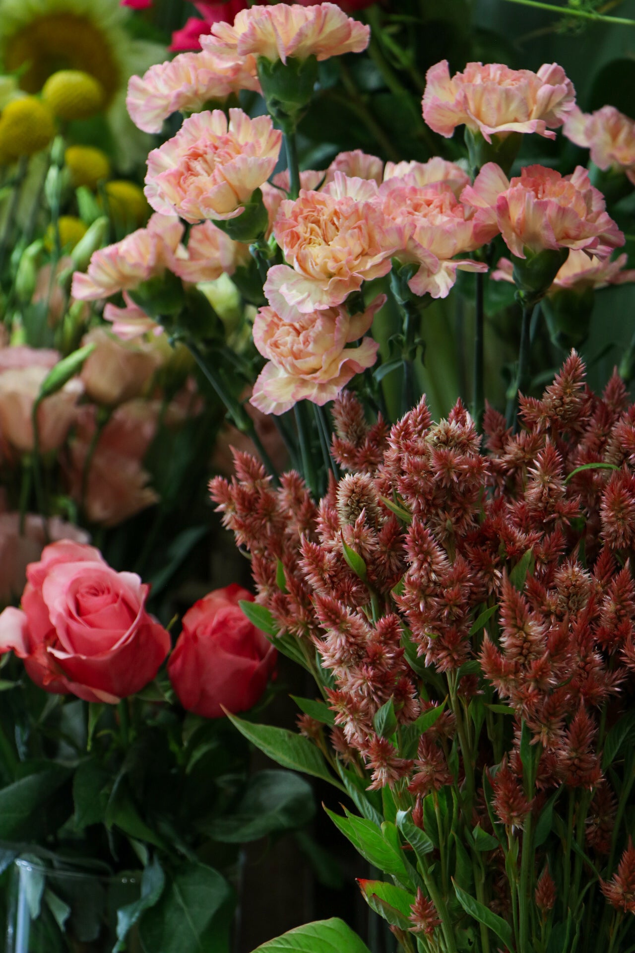 Nos fleurs fraîches