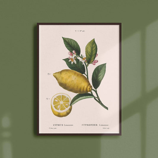 Affiche 21x30 - Citron