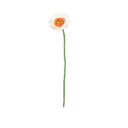 Narcisse en laine