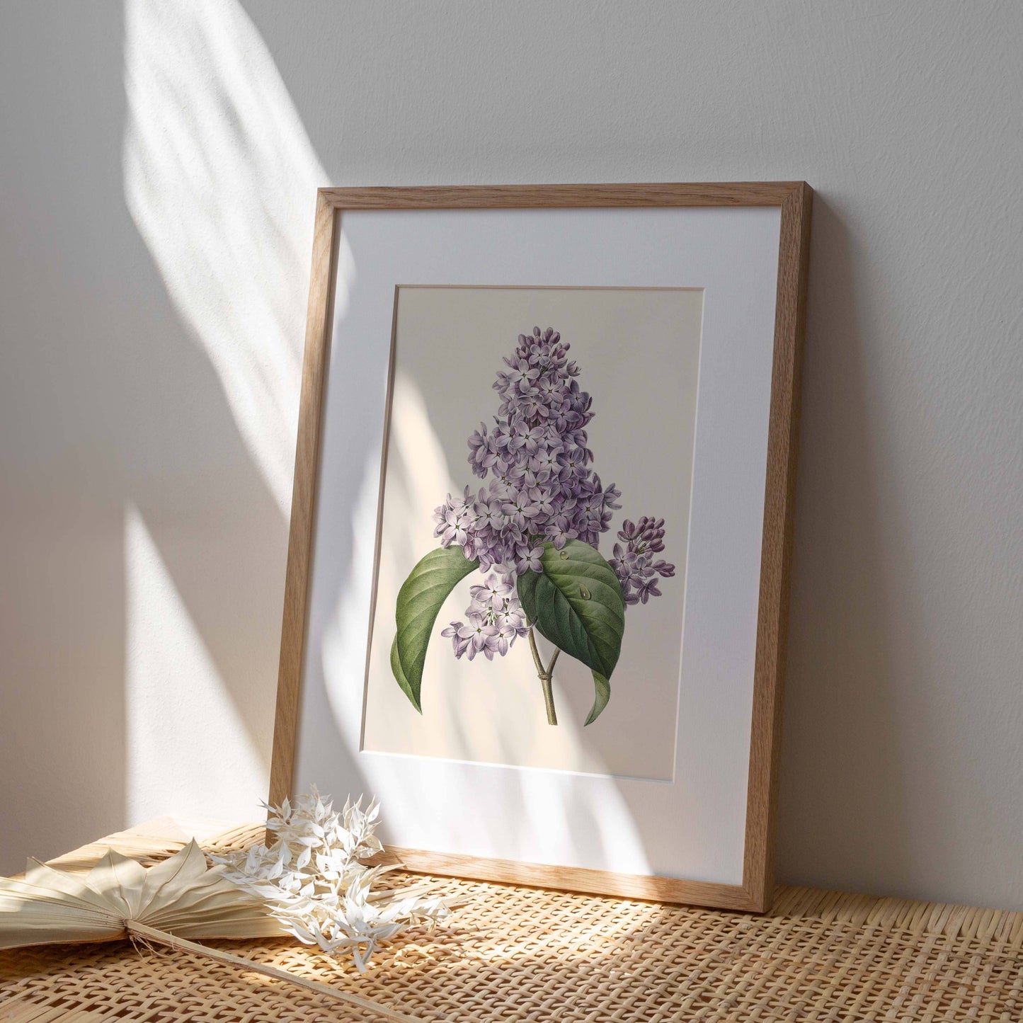 Affiche 21x30 - Lilas