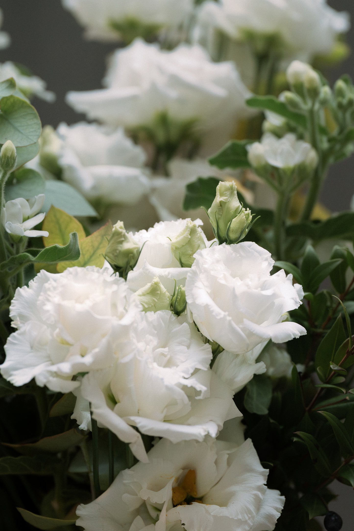 Bouquet Blanc de Saison