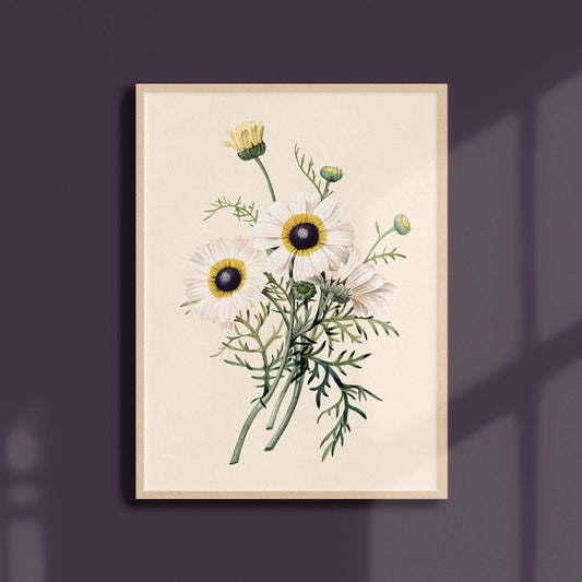 Affiche 21x30 - Chrysanthème